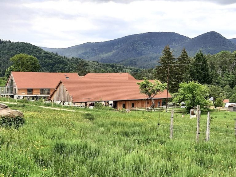la grange du val d’argent – grange de réception d’exception pour mariage à lièpvre