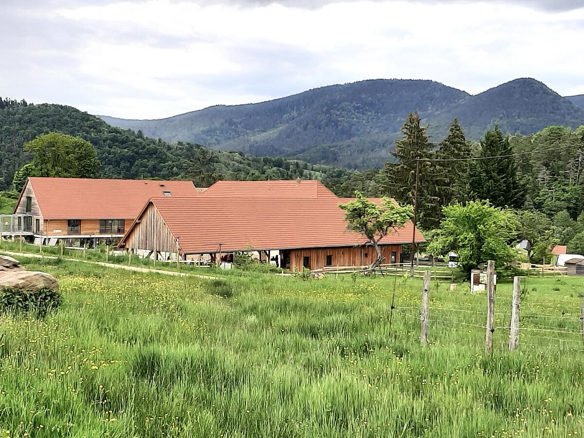 la grange du val d’argent – grange de réception d’exception pour mariage à lièpvre
